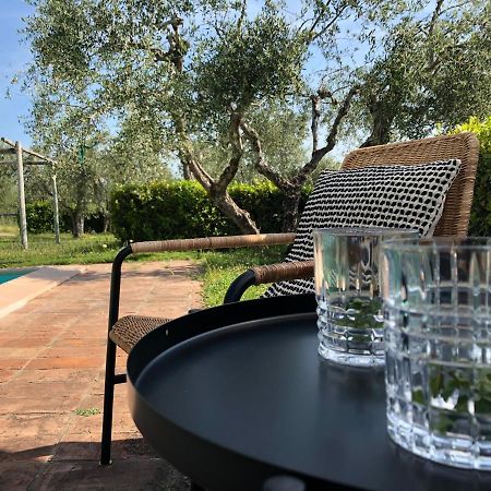 Podere Zelmira Синалунга Экстерьер фото