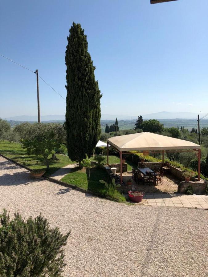 Podere Zelmira Синалунга Экстерьер фото